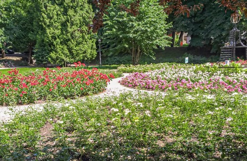 Koszalin Apartment | Discover Koszalin, a cosy place for your next family holiday.