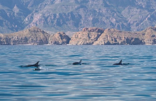 Loreto Apartment | Discover Oceanfront Luxury & Spectacular Views in Loreto