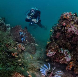Taganga Hostel | Divanga Hostel and Diving