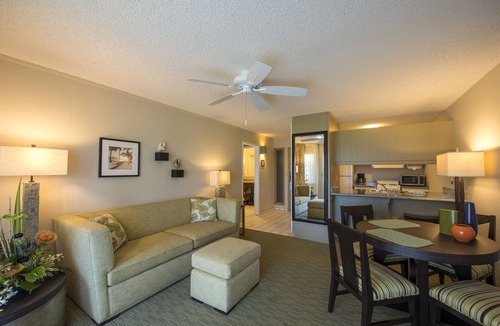 Wailua Hotel | Dive Into Your Dream Vacation! 4 Relaxing Suites with Kitchen | Swimming Pool