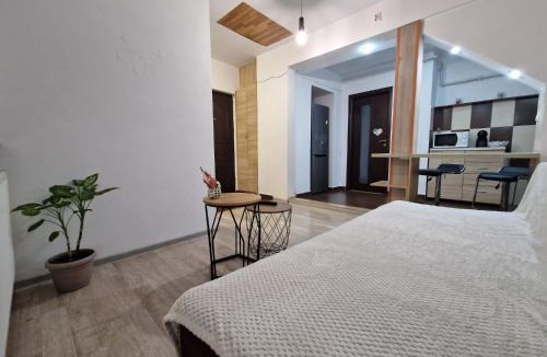 Timisoara Apartment | Dixi Studio