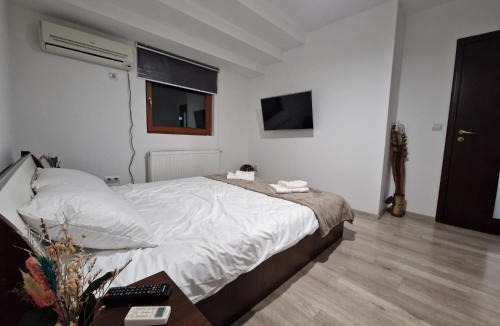 Timisoara Apartment | Dixi Studio
