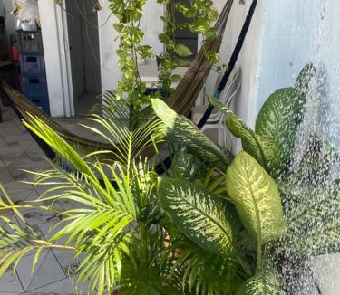 Teresina Apartment | DK eventos