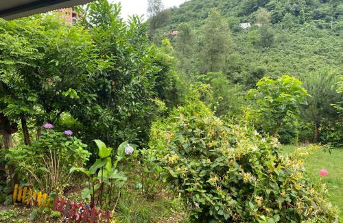 Kasustu Villa | Doğa villa