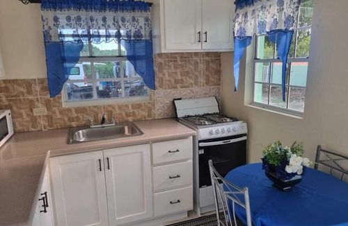Saint Peter Parish Apartment | Doc's Paradise Blue Apartment