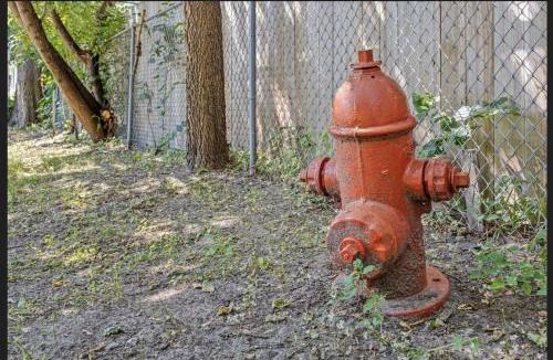 Regina House | Dog-Friendly Bungalow Near Lake Nokomis