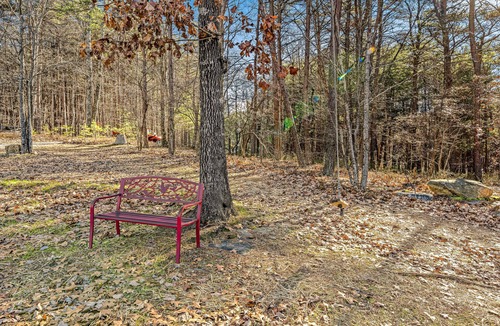 Jasper Cabin | Dog-friendly cabin with hot tub, central AC, fireplace, gas grill & firepit