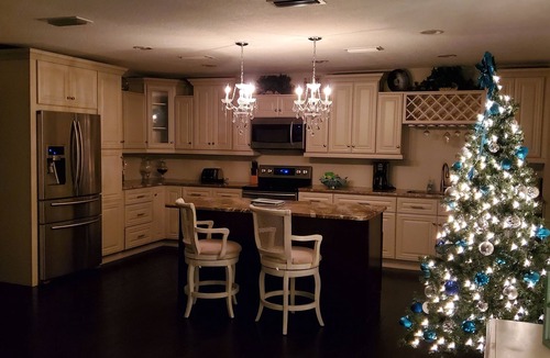 Apollo Beach House | Dog friendly pool home in Apollo Beach