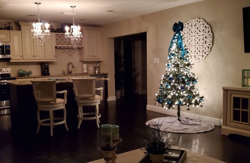 Apollo Beach House | Dog friendly pool home in Apollo Beach