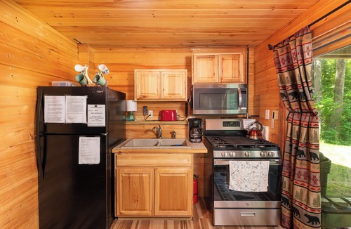 Albany Cabin | Dog Friendly, Quiet Neighborhood, Cozy lower level cabin