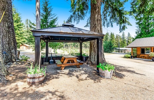 Quilcene Apartment | Dog-friendly studio close to hiking with mountain views & fast WiFi