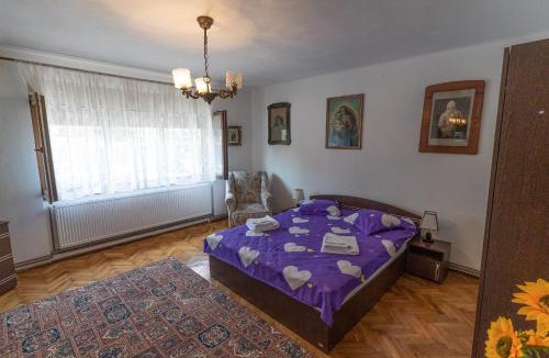Alba Iulia Apartment | Doi Bujori