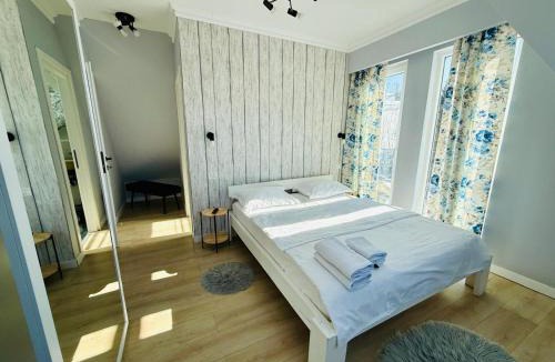 Borsa Ski Chalet | Doinita House