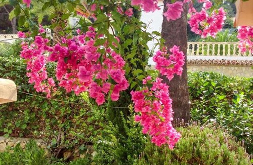 Savoca Bed & Breakfast | Dolce Casa n41