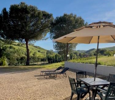 Dozza Apartment | Dolce Collina, Sunset Terrace & Vineyard Views