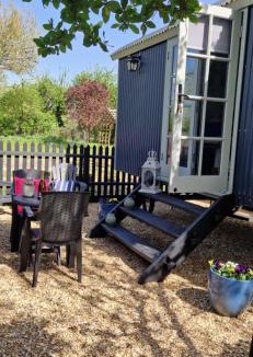 Ibsley Bed & Breakfast | Dolly at Lowlands