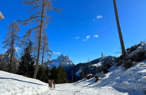 Villagrande Apartment | Dolomia