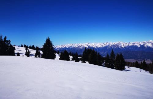Ronzone Cabin | Dolomiti Di Brenta