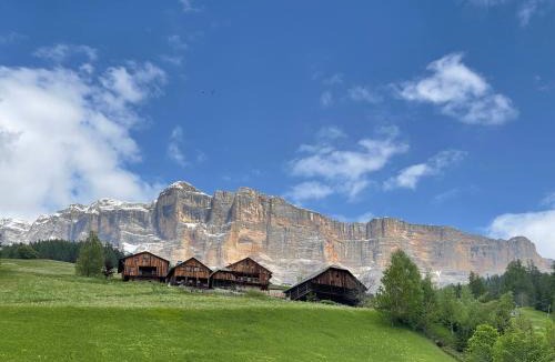 Badia Ski Chalet | DOLOMITISCAPE CHALET