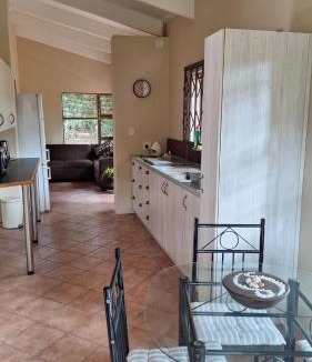 Lake Brenton Apartment | Dolphin