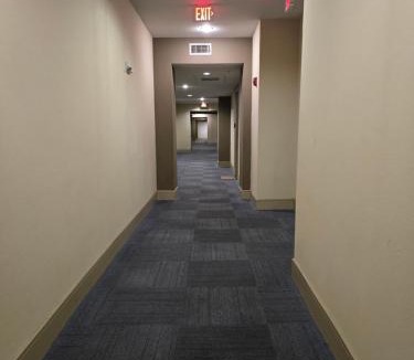 Texas Medical Center Apartment | Domain at Kirby