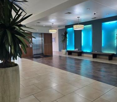Texas Medical Center Apartment | Domain at Kirby