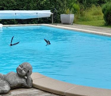Saint Germain du Seudre Bed & Breakfast | Domaine des Anges