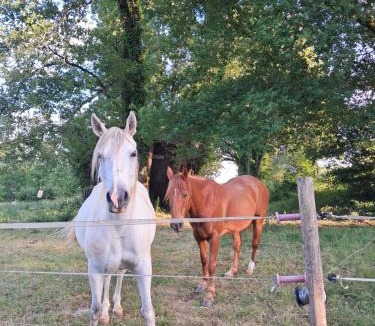 Le Bugue House | Domaine de Sweendy, Le Petit Paradis
