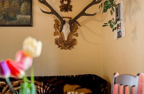 Solina Ski Chalet | Domek Bogdanka