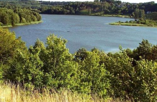 Gorzno Resort | Domek letniskowy