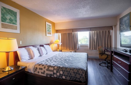 Sandston Hotel | Dominion Inn & Suites