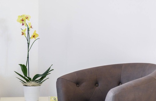 Montescaglioso Bed & Breakfast | Domus Dams B&B