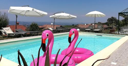 Treiso Bed & Breakfast | Domus Langhe B&B
