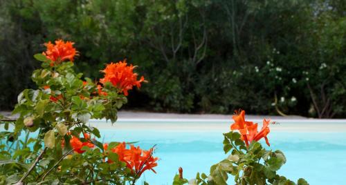 Castiadas House | Domus Sol Aria