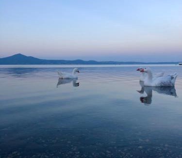 Lungolago House | DomusBiri