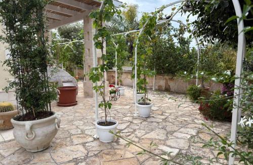Sant'Antonio D'ascula Bed & Breakfast | Don Peppe B&B