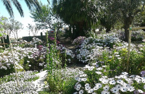 San Severo Other | Donnadele - Quadruple room Masseria Celelntano