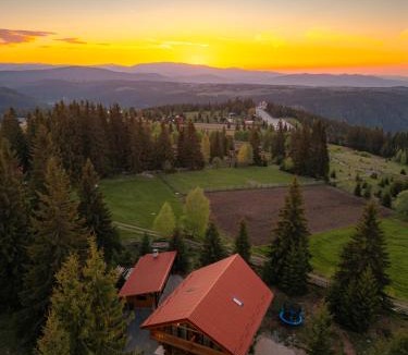 Marisel House | Dor De Munte
