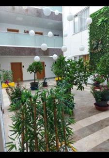 Ankara Apartment | Dora Suit