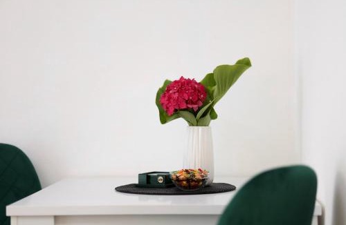 Skaljari Apartment | Doricera