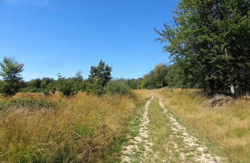 Kell am See House | Double for single use, shower/WC - Hotel-Restaurant Zur Post