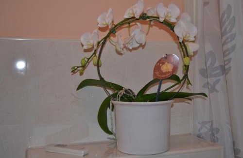 Seligenstadt Apartment | Double M Apartment