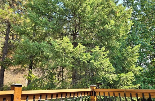 Kingston Condo | Double Master Suites, Silver Mt., Hiawatha, Cda River