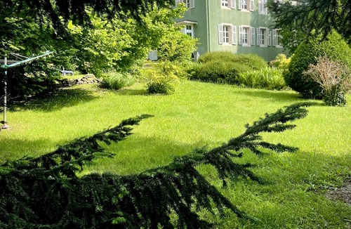 Husseren-Wesserling Hotel | Double room-Superior-Private Bathroom-Mountain view-gite de France