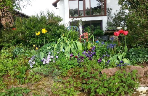 Grossenbrach Apartment | Double room, shared shower or bath - Paradise garden on the banks of the Saale