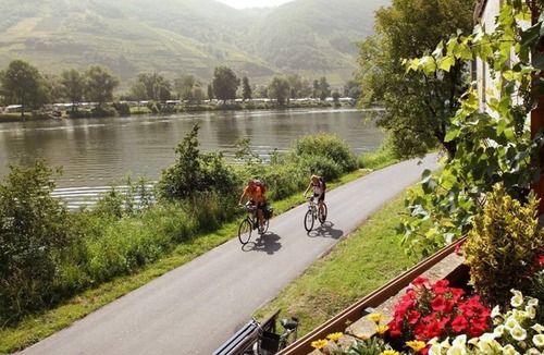 Senhals House | Double Room with Moselle View - Hotel Weinhaus Halfenstube
