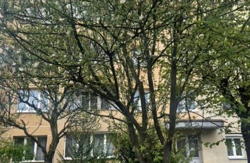Vatra Dornei Apartment | Downtown Cozy Retreat - parcare inclusa