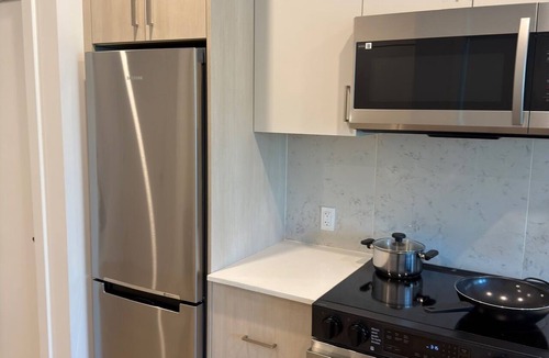 Surrey Apartment | Downtown Luxury Suite