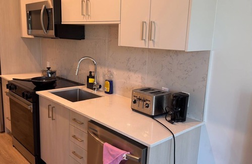 Surrey Apartment | Downtown Luxury Suite