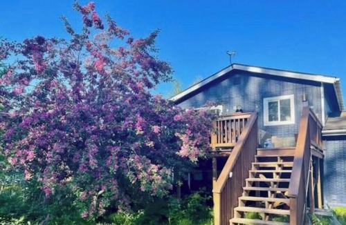 Palmer House | Downtown Palmer Basecamp for all your Alaskan Adventures